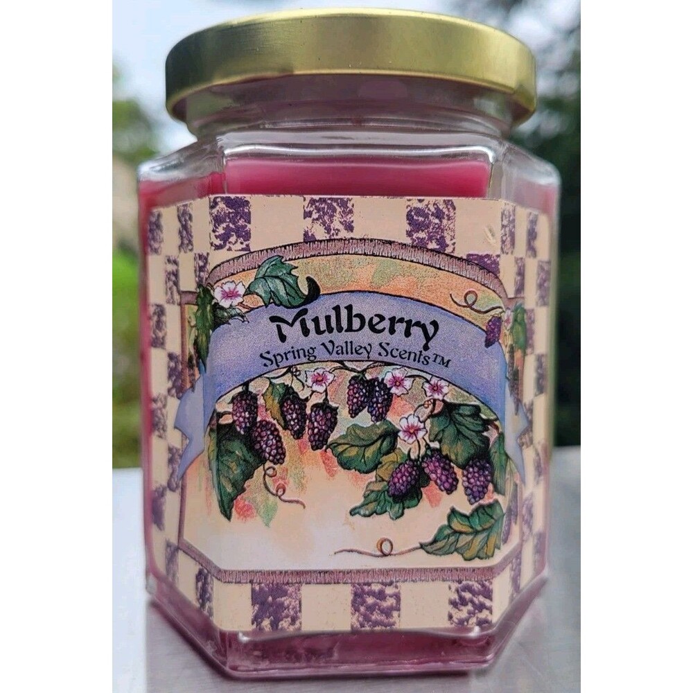Home Interiors Spring Valley Scents Mulberry Candle 8oz Vintage NOS Homco